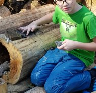 obrazek whatsapp 2024-05-08 v 12.15.15_2d314a6c